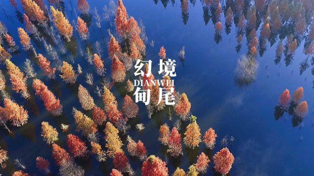 高中生成绩不好，不想读书了，适合学什么技术喃？