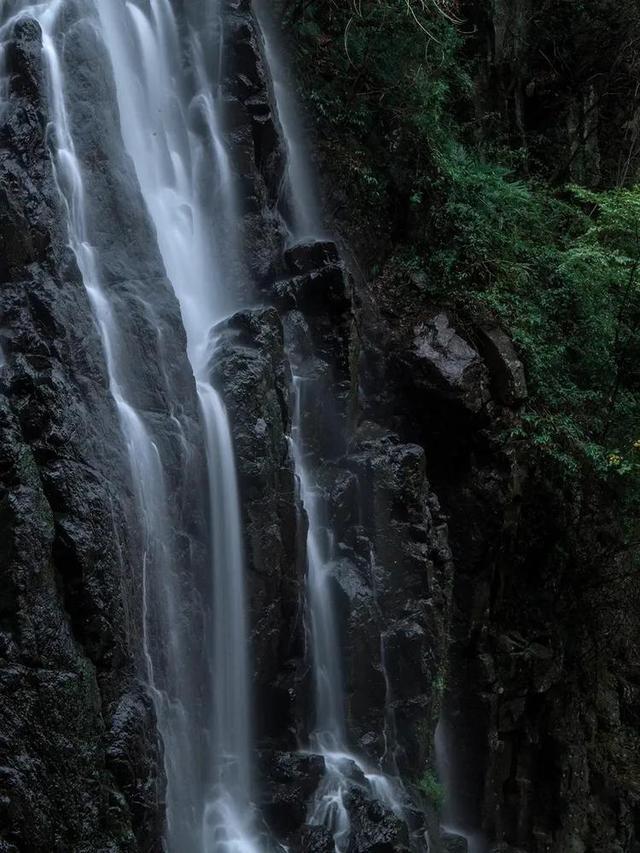 绯雨骑士团